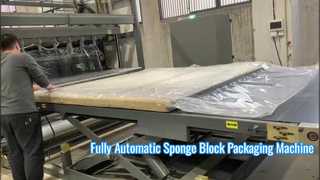 Fully Automatic Sponge Block Packaging Machine with CE Certification and Siemens PLC for Vacuum Pack